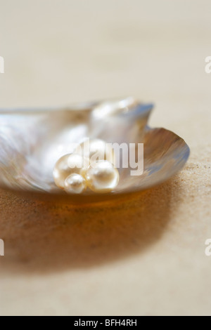 Quatre perles en coquille d'huître ouverte sur la plage, Close up Banque D'Images