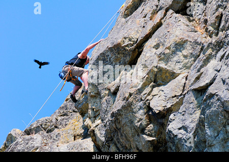 L'escalade avec un corbeau planeur au-dessus de lui à McCauley Point Park, à Victoria, en Colombie-Britannique. Banque D'Images