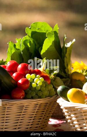 Foire d'automne d'un panier de fruits et légumes à la foire d'automne de l'île Hornby. Hornby Island, British Columbia, Canada. Banque D'Images