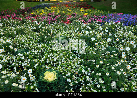 Schlossgarten im Blumenbeet des Schlosses Schwerin, einbezogen dans die Bundesgartenschau 2009 à Schwerin, Mecklembourg-Poméranie-Occidentale Banque D'Images