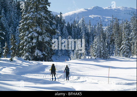 Deux les skieurs de la piste de ski sentiers ensemble au Paradis prés au Mt. Washington ski resort Centre de l'île de Vancouver Banque D'Images