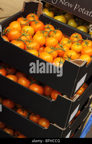 Boîtes de tomates mûres à Borough Market Londres Banque D'Images