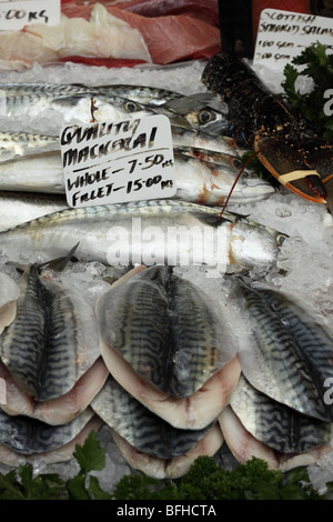 Le maquereau frais à vendre du poisson à l'étal des poissonniers à Borough Market Londres Banque D'Images