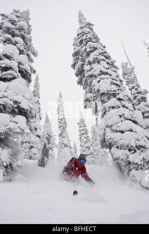 Un skieur femelle bénéficie d'une neige fraîche et large des arbres dans l'arrière-pays de Fernie, C.-B. Banque D'Images