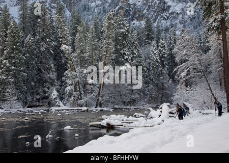 Attraper la neige à Yosemite Banque D'Images