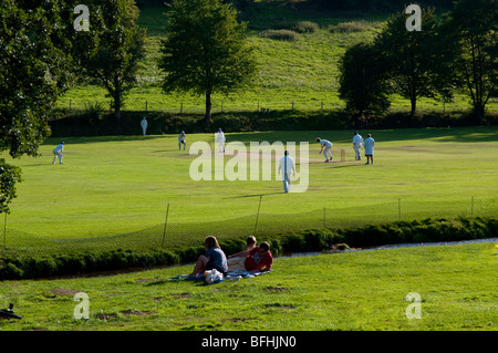 Royaume-uni, Angleterre, Surrey, Abinger Hammer cricket Banque D'Images