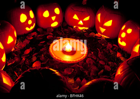 Les citrouilles sculptées dans un cercle au crépuscule autour d'une tarte à la citrouille le soir de l'Halloween Banque D'Images