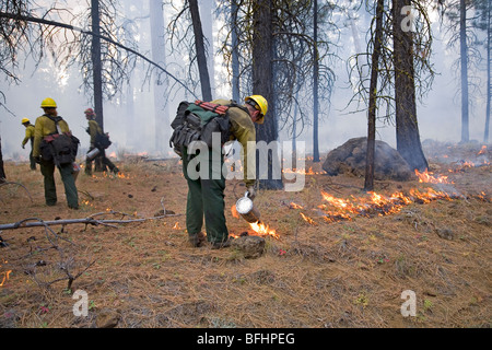 US Forest Service aide les équipes de lutte contre l'incendie prescrites ou contrôler un brûlage contrôlé Banque D'Images