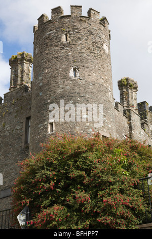 Château Enniscorthy, comté de Wexford, Irlande Banque D'Images