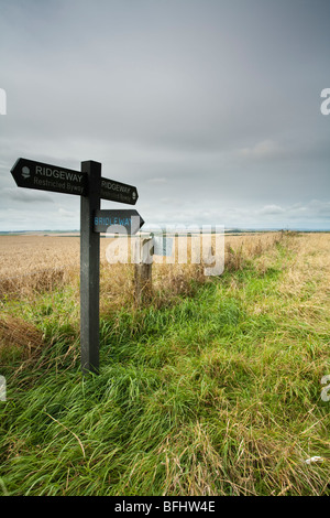 Panneau directionnel sur le sentier national Ridgeway près de White Horse Hill, Oxfordshire, UK, Uffington Banque D'Images