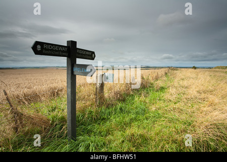 Panneau directionnel sur le sentier national Ridgeway près de White Horse Hill, Oxfordshire, UK, Uffington Banque D'Images