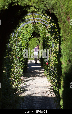 Promenade de lauriers-roses, les jardins du Generalife, Alhambra, Granada, Espagne Banque D'Images