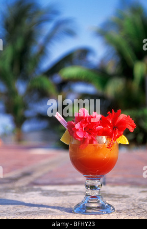 Close-up of tropical drink, Puerto Aventuras, Yucatan, Mexique Banque D'Images