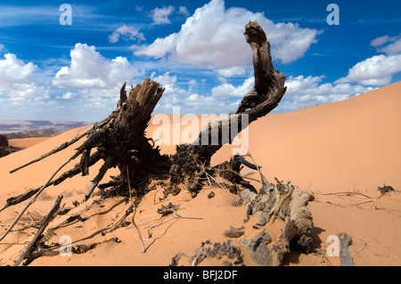 Points de vue et perspectives du désert en Jordanie Banque D'Images