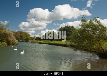 Tamise et prés de l'eau en amont de Lechlade, Gloucestershire, Royaume-Uni Banque D'Images