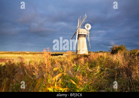 St Benet's Bazin contre un ciel d'orage en plus de la rivière Thurne sur les Norfolk Broads National Park Banque D'Images