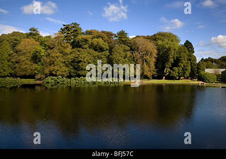 Lake et de couleurs automnales, le château de Johnstown, Co Wexford, Irlande Banque D'Images