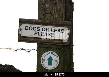 Chemin des hautes terres du sud.Scottish Borders. Banque D'Images