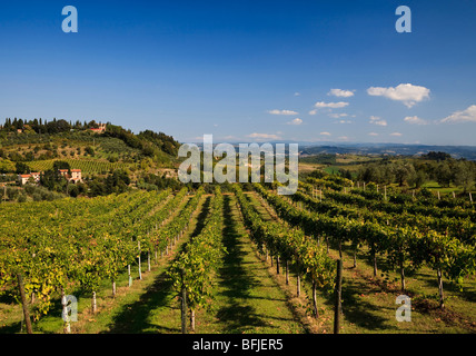 Les lignes sur les vignes poussent sur une colline près de San Gimignano, Toscane, Italie. Banque D'Images