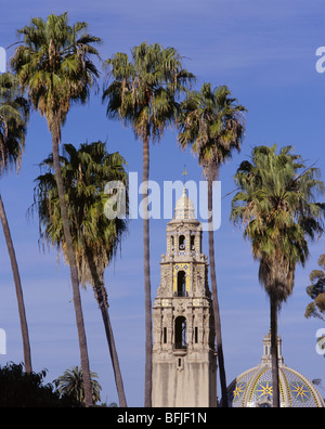 Californie - California Tour et palmiers dans San Diego Balboa Park. Banque D'Images