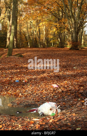 L'abandon de détritus dans les bois près de Downley Le de Spencers Arms, High Wycombe, Buckinghamshire, Royaume-Uni Banque D'Images