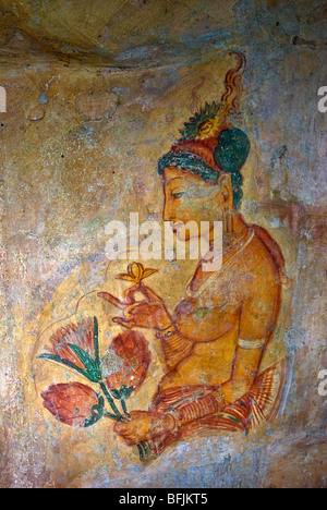 Fresques anciennes de maidens sur cave mur à la forteresse du Rocher de Sigiriya, Sigiriya, Sri Lanka Banque D'Images