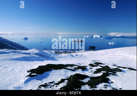 Expédition en Antarctique, le MV Ushuaia ancrées à Brown Bluff en Antarctique Banque D'Images