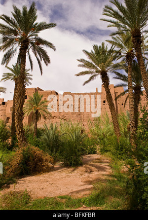 AGDZ, MAROC - Tamnougalt kasbah et de palmiers, dans les montagnes de l'Atlas. Banque D'Images