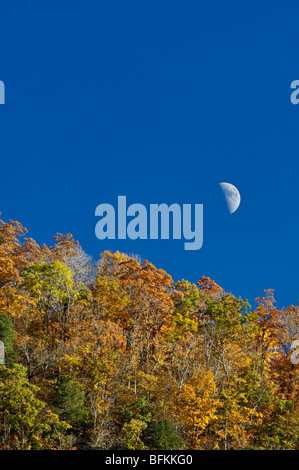 Automne Couleur sur Pine Mountain avec Premier quartier de lune sur fond de ciel bleu dans Letcher Comté, Kentucky Banque D'Images