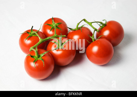 Petites tomates mûries sur vigne un fond blanc Banque D'Images