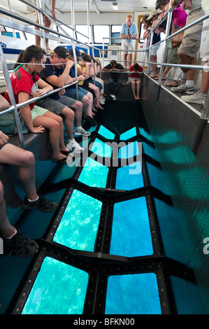 Zone d'affichage sur les tour en bateau à fond de verre sur le récif corallien de John Pennekamp State Park, Key Largo, Florida Keys Banque D'Images