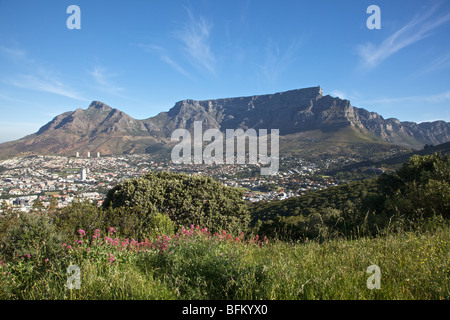 Table Mountain depuis Signal Hill, Devil's Peak montrant sur la gauche. Cape Town, Afrique du Sud. Banque D'Images