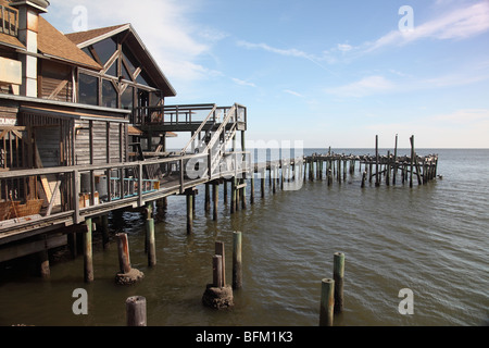 Bâtiment sur pilotis avec l'ancienne jetée et quai où les oiseaux de mer l'amour à la perche dans Cedar Key en Floride, USA Banque D'Images