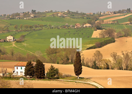 Ferme dans le Marches Italie Banque D'Images