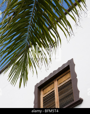 Palm tree branch à volets en bois fenêtre et murs blancs en Espagne Banque D'Images