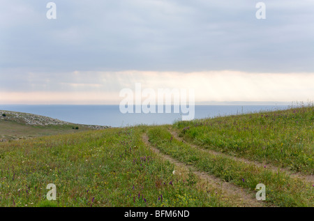 Prairies sur la côte de la mer d'été en soirée et earthroad. Banque D'Images