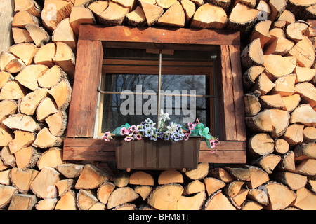 Bois de chauffage empilé autour de fenêtre maison de campagne avec des fleurs. Photo par Willy Matheisl Banque D'Images