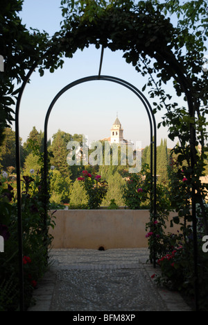 Voir la vie en rose arbor dans les jardins du Generalife vers le Palais de l'Alhambra, Grenade, Andalousie, Espagne Banque D'Images