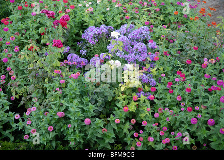 Parterre de fleurs, l'Alhambra, Grenade, Andalousie, Espagne Banque D'Images