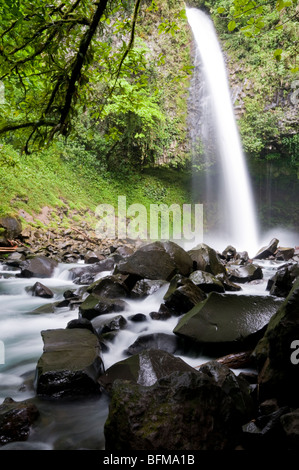 La cascade de La Fortuna au Costa Rica Banque D'Images