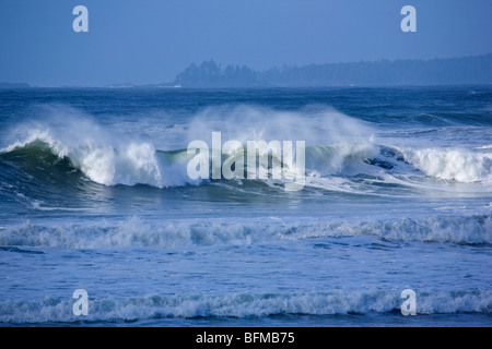 Tofino, BC Canada Pacific Rim Nat. Park Banque D'Images