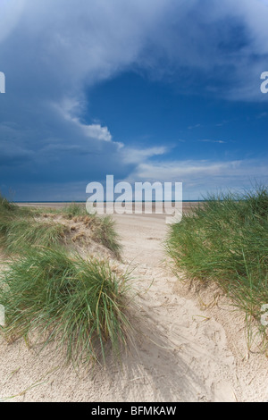 Dunes de sable de Holkham Beach à Norfolk, Angleterre Banque D'Images