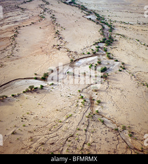 Bordée d'un cours d'eau en terrain semi-désertique au sud-est de Lodwar. Banque D'Images