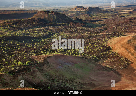 Certains des nombreux cratères volcaniques pointant à l'extrémité nord de la vallée de la Suguta. Banque D'Images