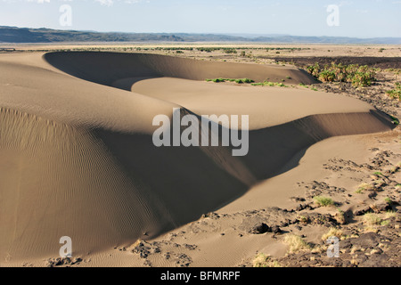 Un grand barchan dune sur le bord de la vallée de la Suguta. Banque D'Images