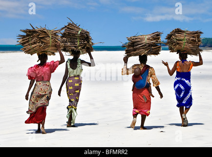 Kenya Mombasa. Les femmes portent sur leur tête de noix de coco séchées makuti (feuilles de palmier utilisé comme matériau de couverture) sur la côte sud du Kenya. Banque D'Images
