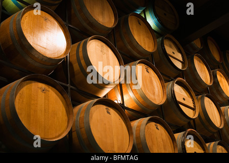 L'Australie, l'Australie du Sud, Adélaïde. Des tonneaux de vin dans le Centre National du vin de l'Australie. Banque D'Images