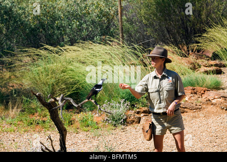 L'Australie, Territoire du Nord, Alice Springs. Oiseaux indigènes montrent à l'Alice Springs Desert Park. Banque D'Images
