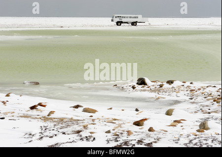 Le littoral de la Baie d'Hudson au début de l'hiver, avec Tundra Buggy, Churchill, Manitoba, Canada Banque D'Images