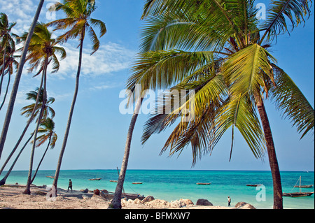 La Tanzanie, Zanzibar. La plage bordée de palmiers de noix de coco à Jambiani a l'une des plus belles plages dans le sud-est de l'île de Zanzibar. Banque D'Images
